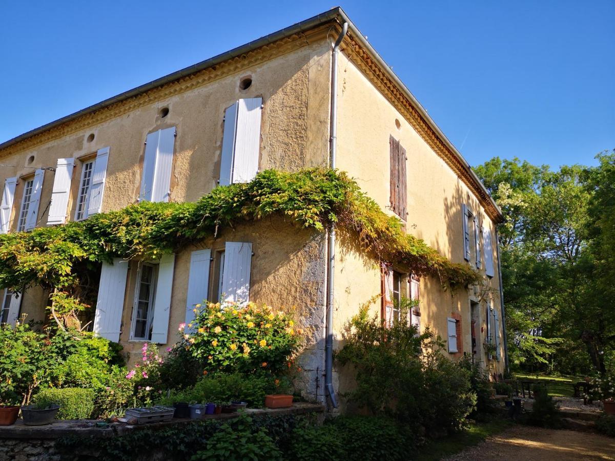 Mule Bed & Breakfast Lagardere Ngoại thất bức ảnh