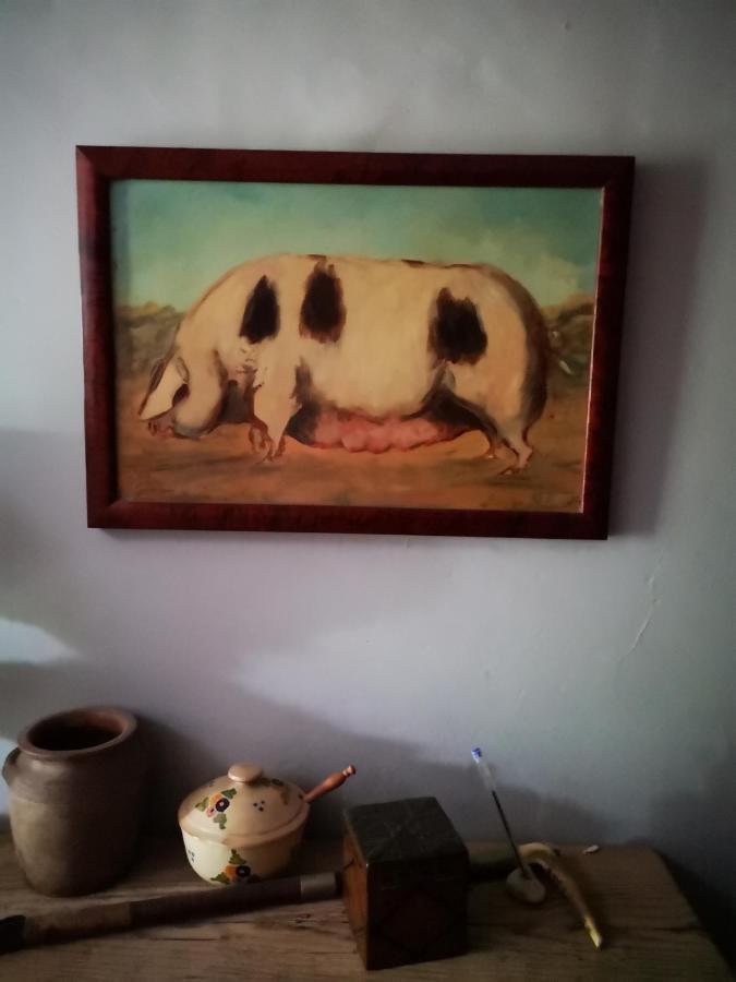 Mule Bed & Breakfast Lagardere Ngoại thất bức ảnh