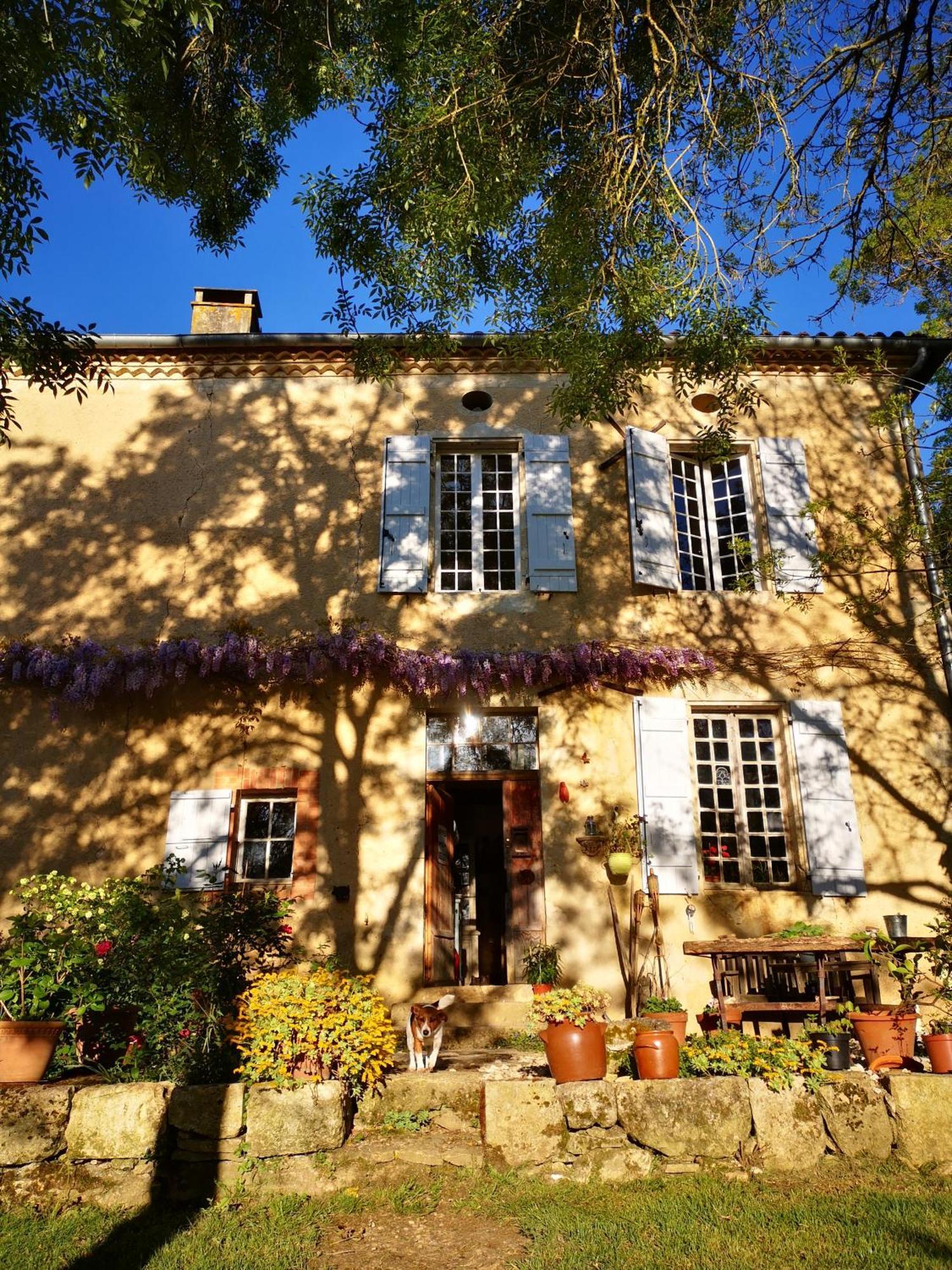 Mule Bed & Breakfast Lagardere Ngoại thất bức ảnh